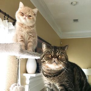 Downsizing Closet before Moving